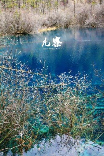 涉嫌信息披露违法违规 东方园林收《行政处罚事先告知书》